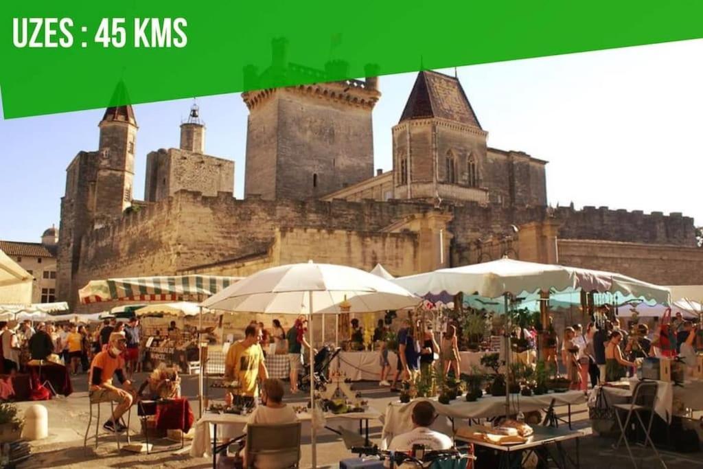 La Balance Des Doms - 1 Min Du Palais Des Papes - Intra-muros *